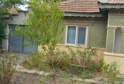 Casă cu 3 camere cu Teren 1877 Mp în Movila - 5