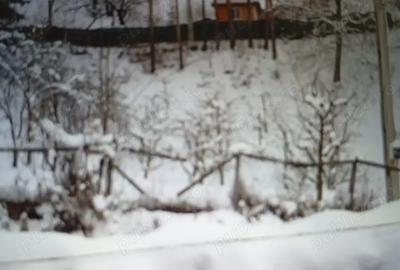 Imobiliare CASA TEREN - 4