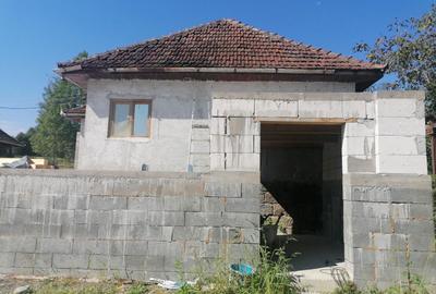 Casă cu 3 camere în Vidra - 1