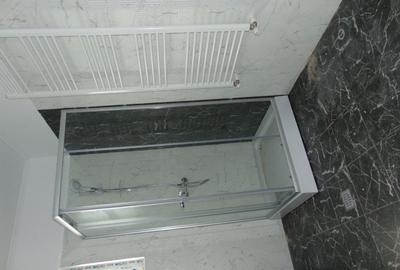 FARA COMISIOANE casa 3 camere PARTER + pod terasa camera tehnica LA CHEIE - 10