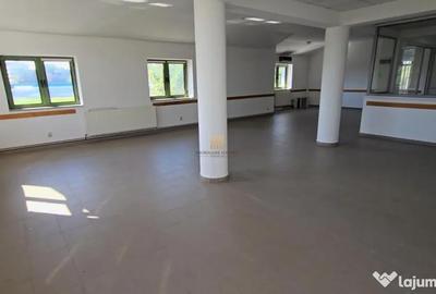 Spațiu comercial, de 685 mp, în Central - 6