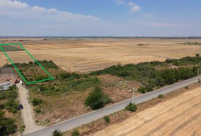 Teren 15000mp Parcelat pt Complex Case Clinceni A0 | Deschidere 50ml - 1