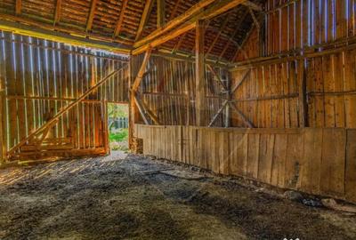 Casă cu 4 camere cu Teren 1642 Mp în Hoghiz - 15