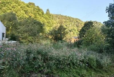 Casă cu 11 camere cu Teren 1560 Mp în Moieciu - 1