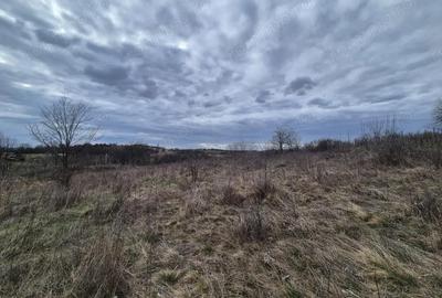 Teren de 5700 mp, în Iabalcea - 5