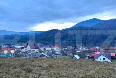 VAND 2500 MP DE TEREN INTRAVILAN LA COLIBITA - 7