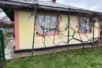 Casa batraneasca cu anexe si teren in Viisoara, intravilan - 6