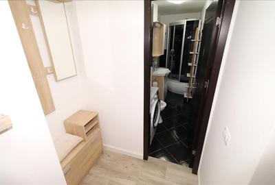 Apartament tip studio, parter, renovat, zona Panduri- Brailei - 10