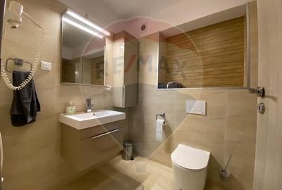 Apartament cu 3 camere de inchiriat, Pta Victoriei. Primaria Sector 1 - 15