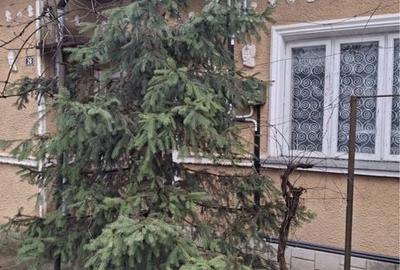 Casă cu 4 camere în Copou - 4