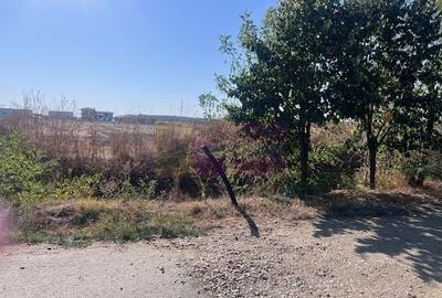 Teren Cornetu Strada Magnoliei- Pinului - 4