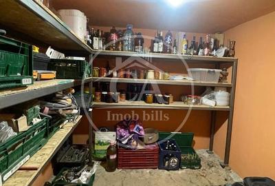 Casă cu 7 camere cu Teren 267 Mp în Nufărul - 11