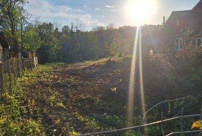 Teren Construcții intravilan de 1311 mp, în Nord-Est - 4