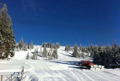 Teren de 400 mp, în Muntele Băișorii - 1