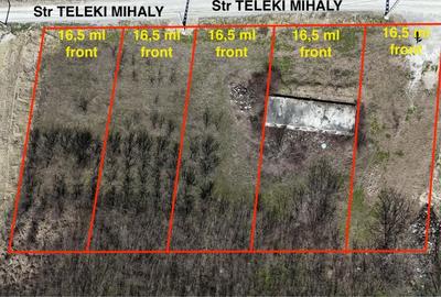 Spațiu comercial, în Podgoria