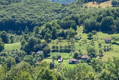 Casă cu 2 camere cu Teren 7927 Mp în Damiș - 8