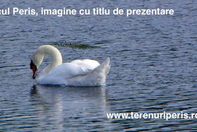 Teren în Periș - 7