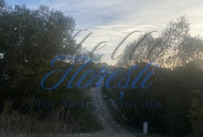 Vanzare teren intravilan 1900 mp - Dezmir, Cluj - 1