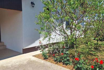 Casă cu 2 camere cu Canalizare în Ianova - 19