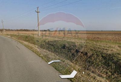 Teren intravilan - 2,5 ha/loc. Vizuresti, Dambovita,desch... - 8