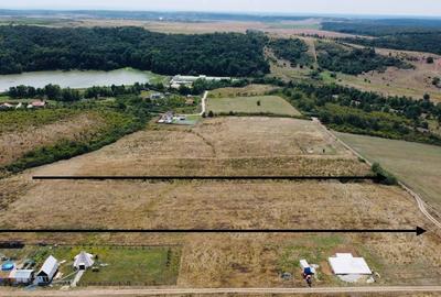 Teren Construcții intravilan de 18.683000564575 mp, în Pișchia - 1