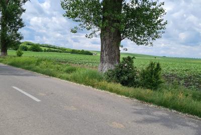 Teren intravilan 1270 mp.Dubla deschidere.Vis-a-vis de Balta Comana. Teren intravilan 1270 mp.Dubla deschidere.Vis-a-vis de Balta Comana. - 2