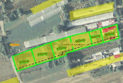 Teren Construcții intravilan de 970 mp, în Comana - 3