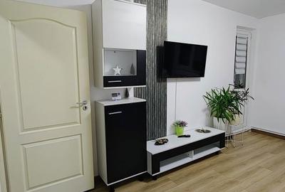 Apartament cu 2 camere, mobilat în Viitorului - 5