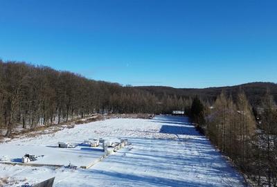 Teren Construcții intravilan de 9850 mp, în Dragomirna - 3