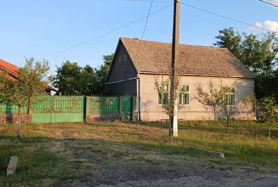 Casa cu teren 2877.mp la 27 km de Timi?oara - 6