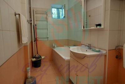 Apartament cu 3 camere semidecomandat, mobilat în Câmpia Libertății - 18