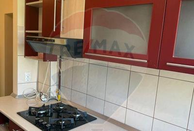 Apartament cu 2 camere de inchiriat in zona Vivo Mall - 8