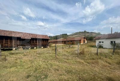 Ferma cu 3000 mp de teren si o constructie de 580 mp - 1