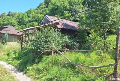 Casă cu 6 camere cu Teren 2700 Mp în Bradu - 2