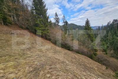 Teren în Scărișoara - 6