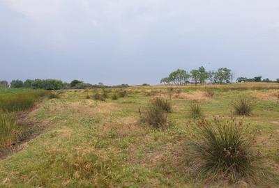 Teren intravilan in Delta Dunarii, C.A. Rosetti - Cardon - 6