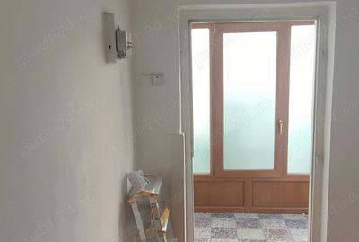 Casa Sagului -Rebreanu de vanzare - 10