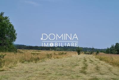 Teren Construcții intravilan de 178599 mp, în Runcu - 3