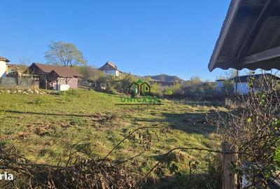 Spațiu comercial, în Valea Cheii - 3