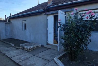 Casa vanzare Pecica - 2