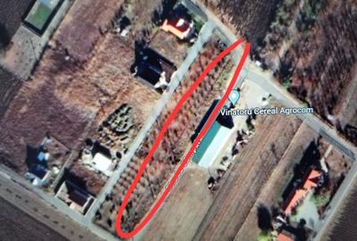Teren de 2000 mp, în Potoceni - 1