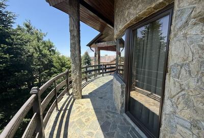 Casa de vacanta la 200m de Dunare - 50