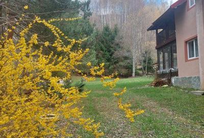 CASA DE VACAN?A 5 CAMERE,POINANA MARULUI, JUD.CARA?-... - 17