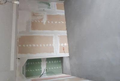 Casă cu 3 camere cu Teren 1501 Mp în Micula - 6