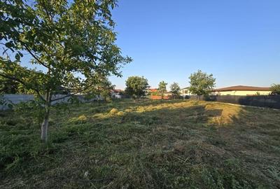 Teren Construcții intravilan de 1250 mp, în Mogoșoaia - 6