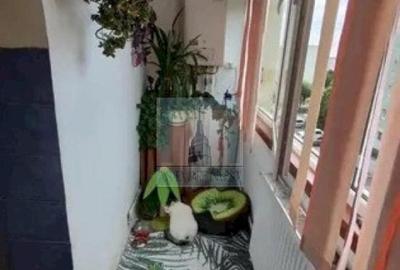 Ap 3 camere decomandat - zona Bartolomeu - 4