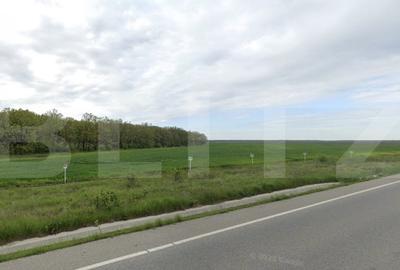 Teren agricol extravilan de 87120 mp, în Exterior Sud - 1
