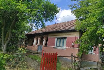 Casa de vanzare - 2