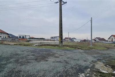 Casă cu Teren 722 Mp în Livada - 16