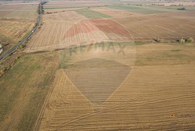 De vanzare teren intravilan 39,016mp Arad / DJ Iratos - 12